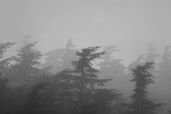 Darkness